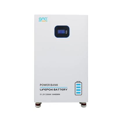 แบตเตอรี่ LiFePO4 16.4KWh 51.2V 320Ah